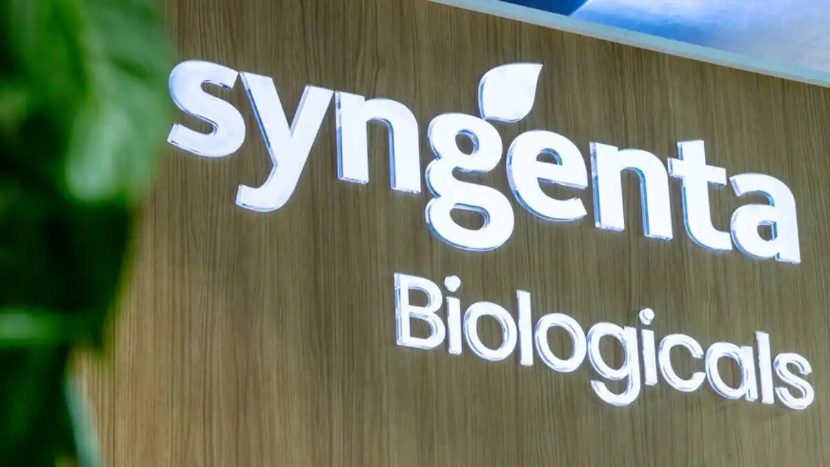 Фото:Syngenta Syngenta Biologicals объявила о реализации нового проекта, направленного на оздоровление почвы RootEco