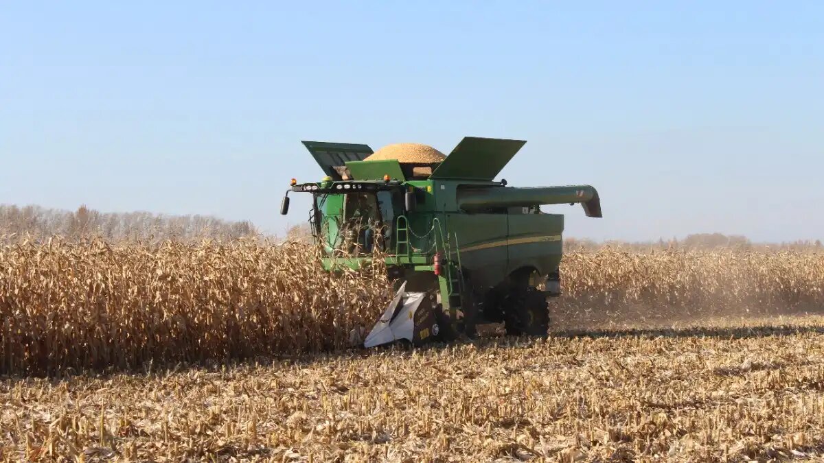 Фото: © Сергей Корнеев / блогер-механизатор Будни Тракториста (для Glavpahar.ru)