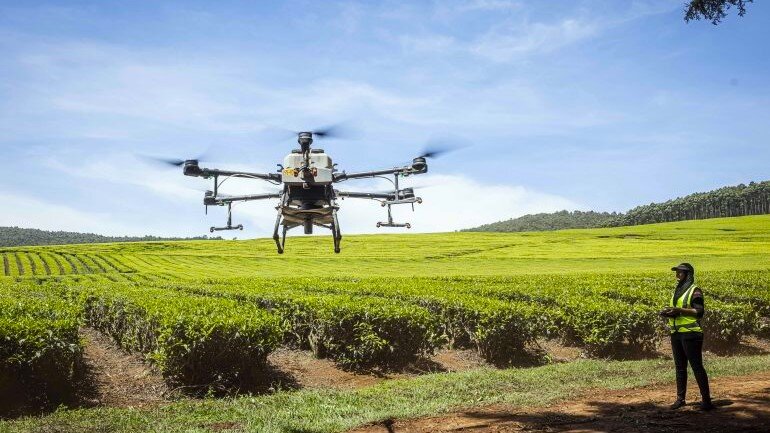 Появление дронов в сельском хозяйстве по значению сравнимо с появлением трактора.