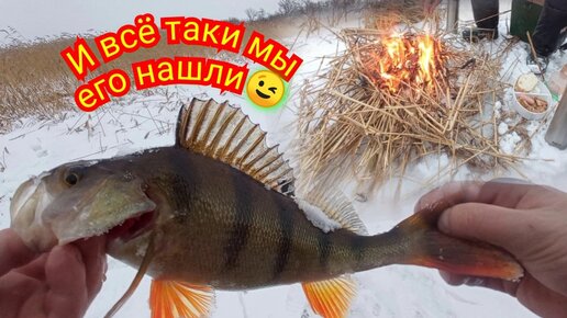 RE:Fishing.RU – fishing в России