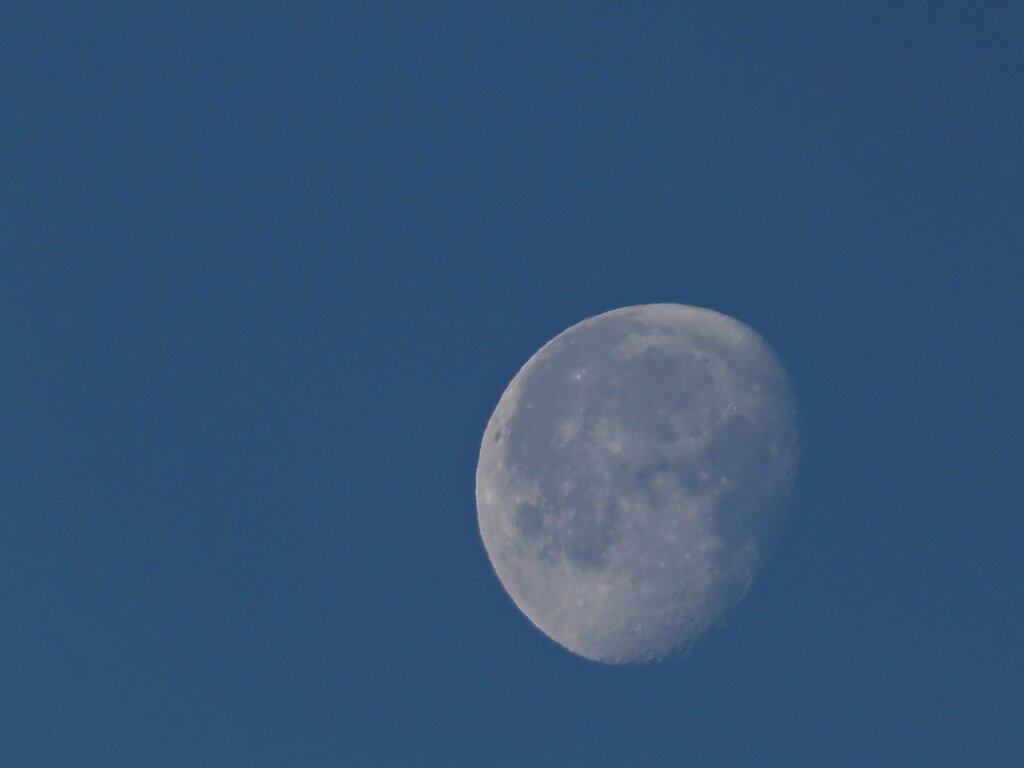 6 мая 2024 лунный день. Фото Луны. Утренняя Луна. Луна на дневном небе. Луна фото красивое.