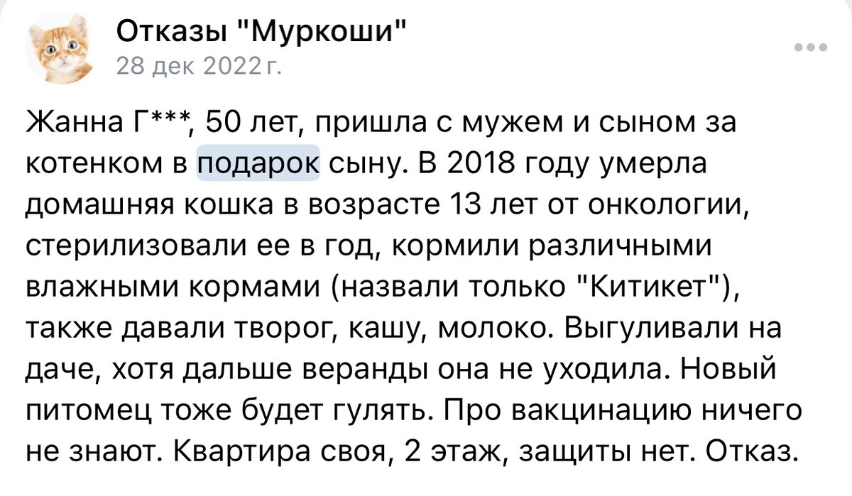 Питомец – это прежде всего ответственность | Центр помощи кошкам «Муркоша»  | Дзен