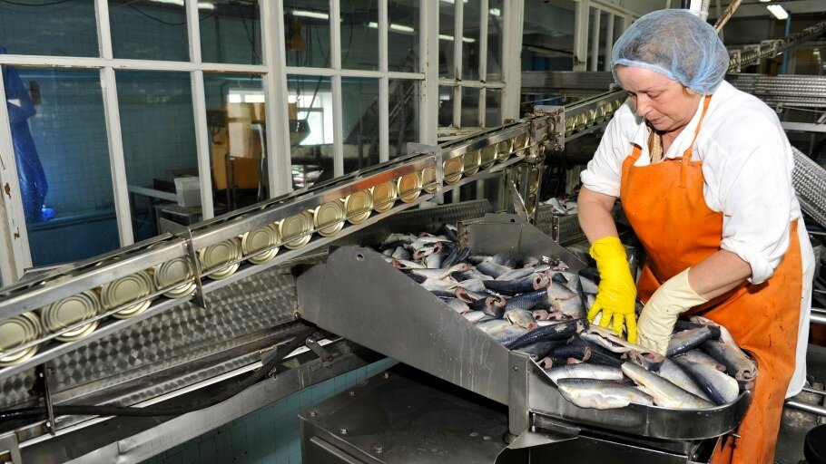 © РК 50 лет Октября.