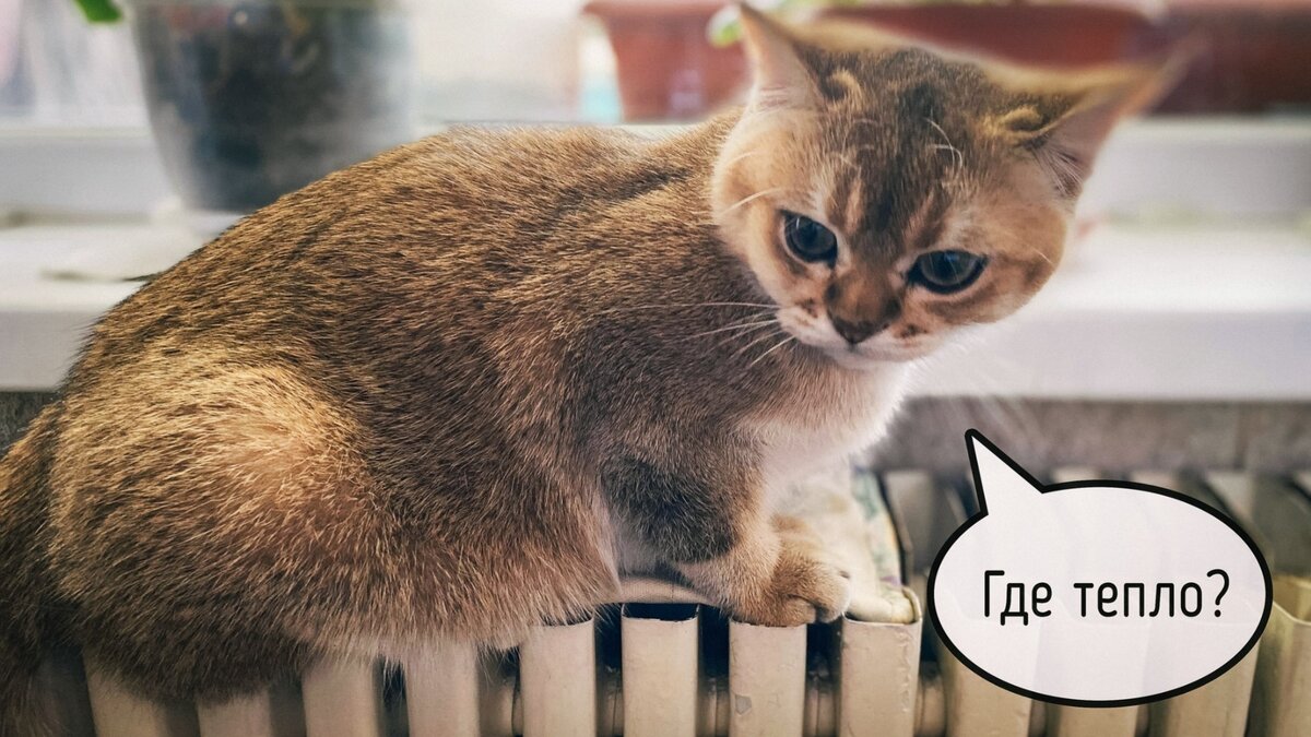     В связи с ненадлежащим теплоснабжением жителей города Находка, возбуждено уголовное дело об оказание услуг, не отвечающих требованиям безопасности жизни и здоровья граждан, после проведения прокурорской проверки.