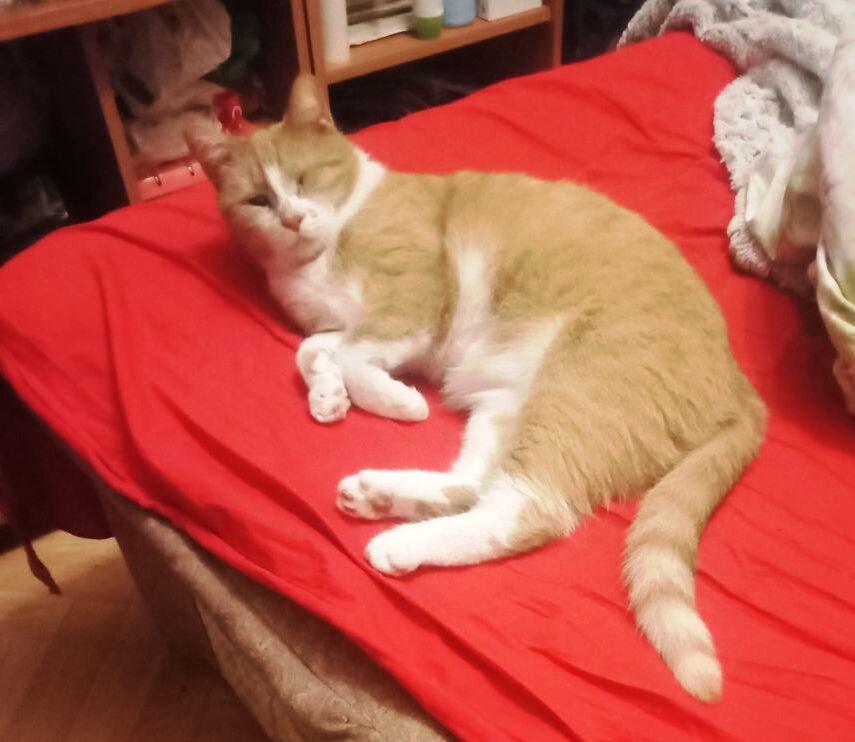 Фото из семейного архива