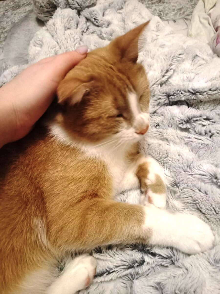 Фото из семейного архива