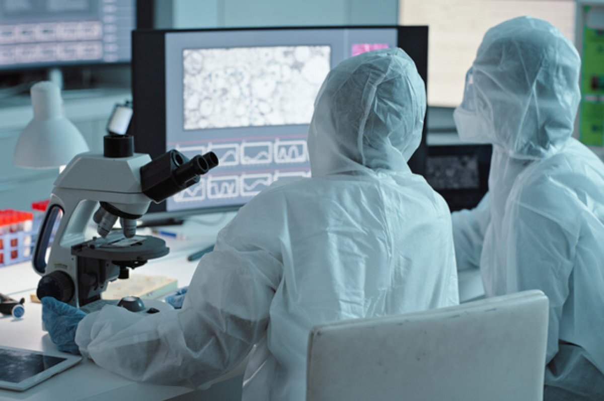    В Аргентине у человека выявили лошадиный энцефалит впервые с 1996 года