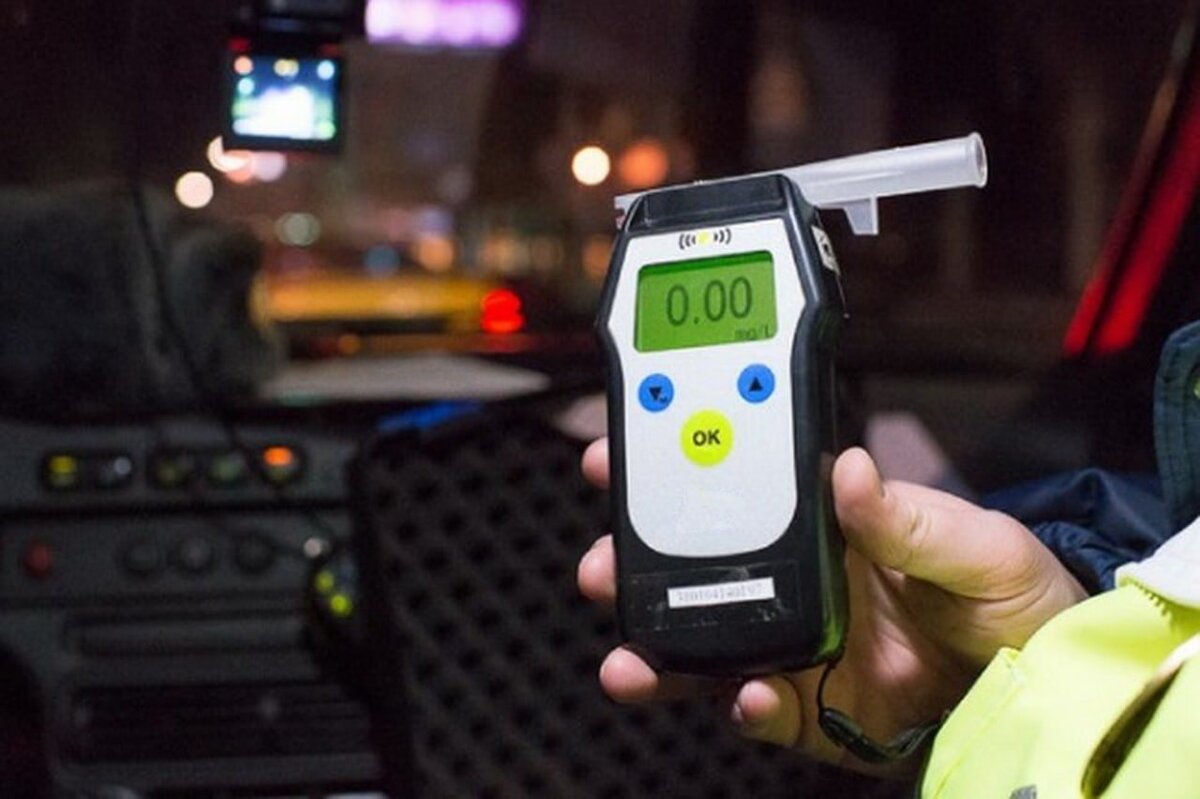    Фото: t.me/mosgibdd77 Анфиса Слепцова