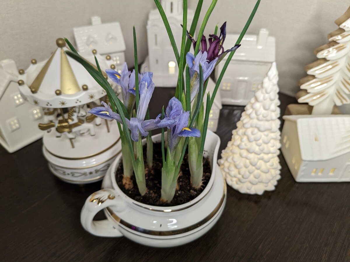 Утро 1 января началось по плану