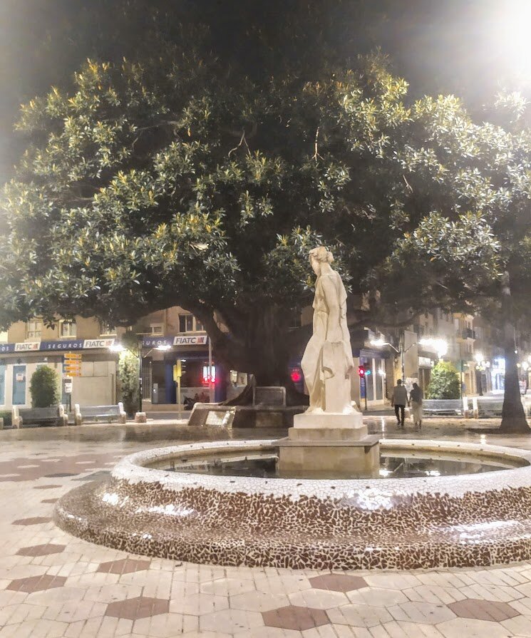 тысячелетний фикус