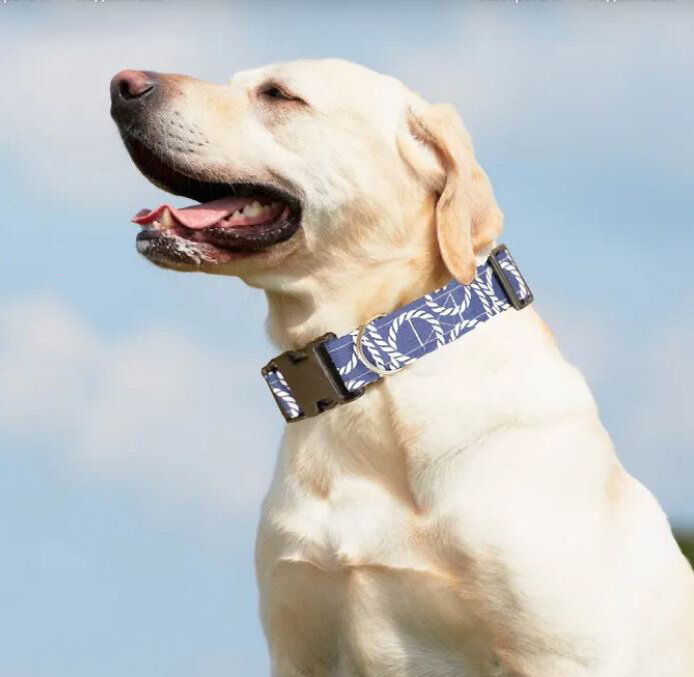    Текстильный ошейник   
Источник: Скриншот из видео