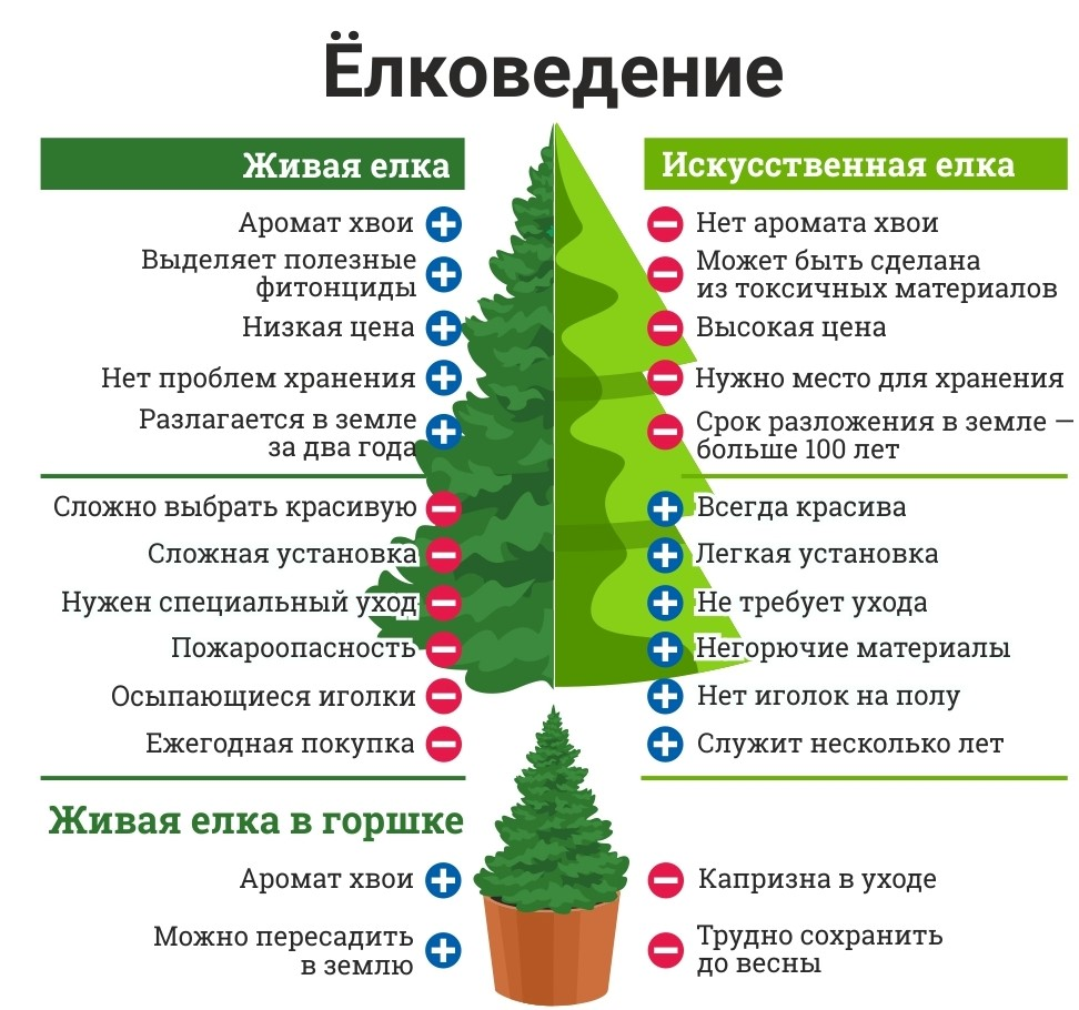 Значение елки. Елка Живая и искусственная. Живая или искусственная елка. Елка Живая. Как выбрать живую ель.