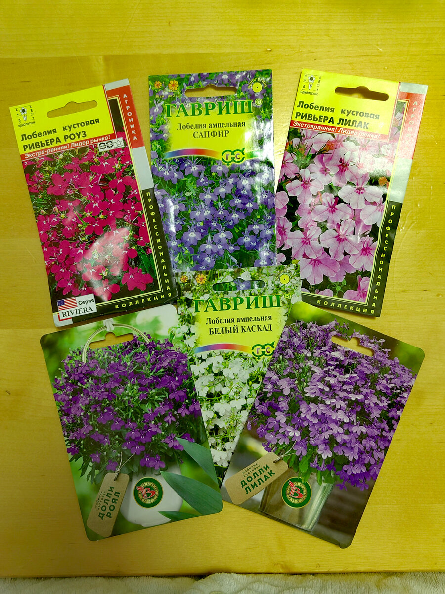 Очередной раз на днях ,перебирая яркие цветочные пакетики,я решила отложить в отдельную кучку семена с ранним посевом в феврале-начале марта.