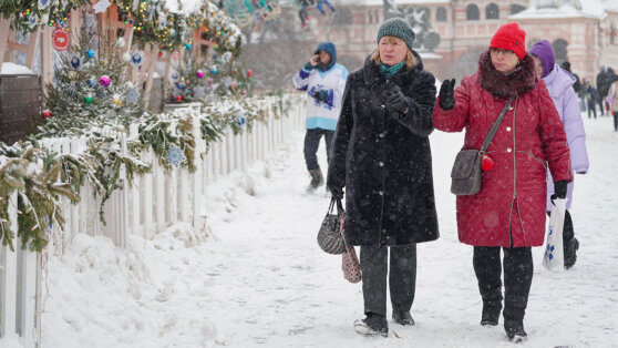    29 декабря в Москве ожидаются небольшие осадки и до 0°C Сергей Бунеев