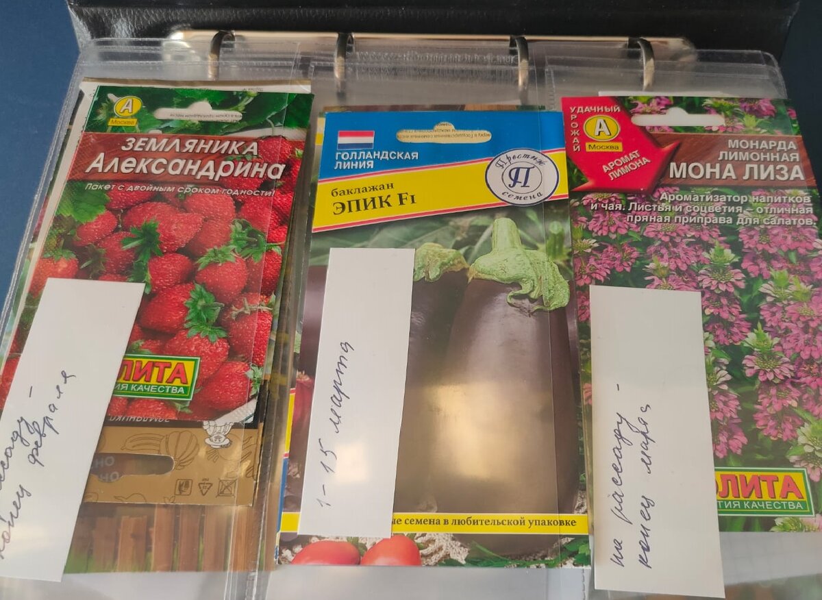 Разбираю семена, вкладываю записочки.