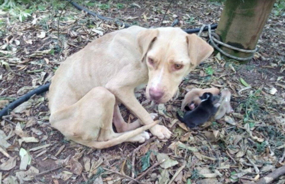Спасатели были в шоке от поступка неизвестного человека