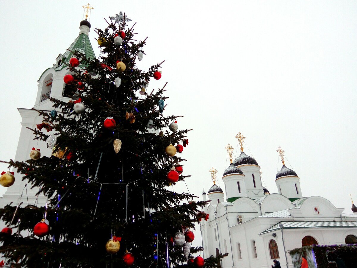 Елка в Спасо-Преображенском монастыре
