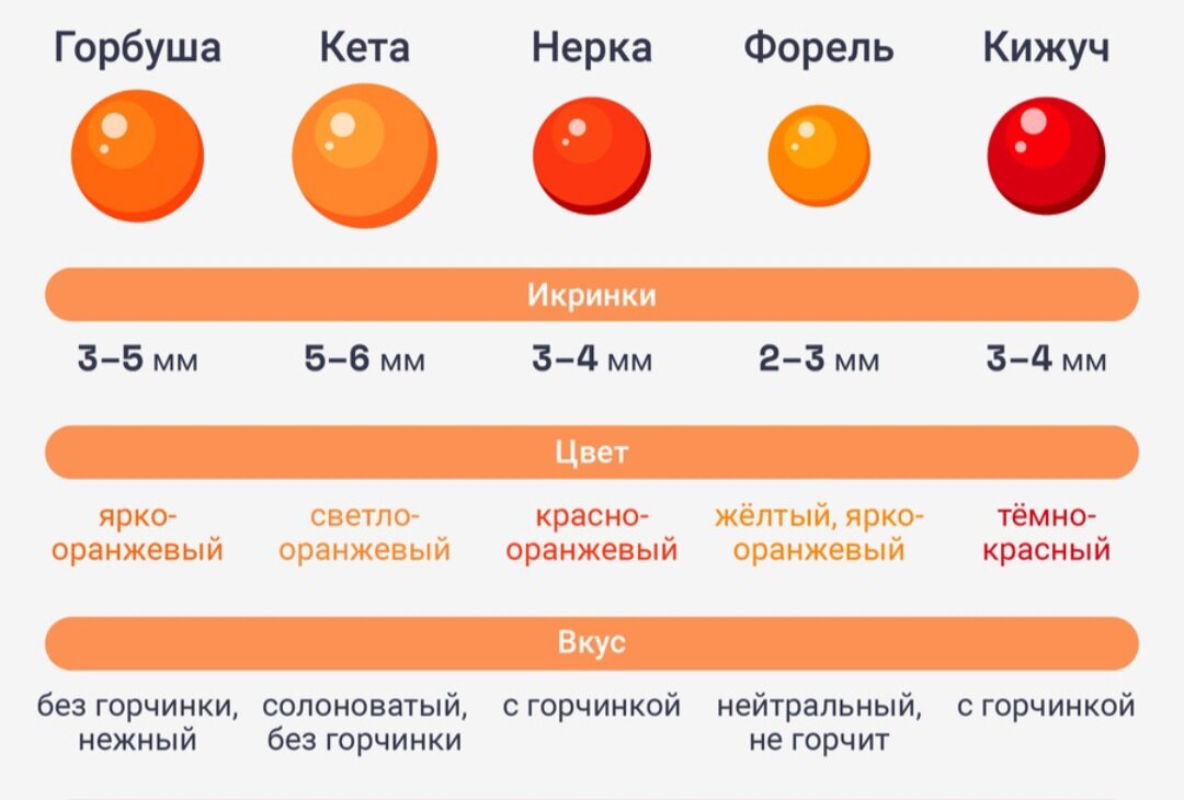 Сравнение красной икры. Какая бывает красная икра. Белок в икре красной. Почему красная икра оранжевая.