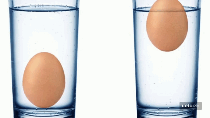 Определение свежести яиц — задача, которая часто волнует многих людей, особенно тех, кто уделяет важное значение своему здоровью и качеству питания.
