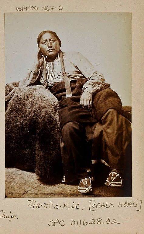 Минимик, или Орлиная Голова, 1867 год.