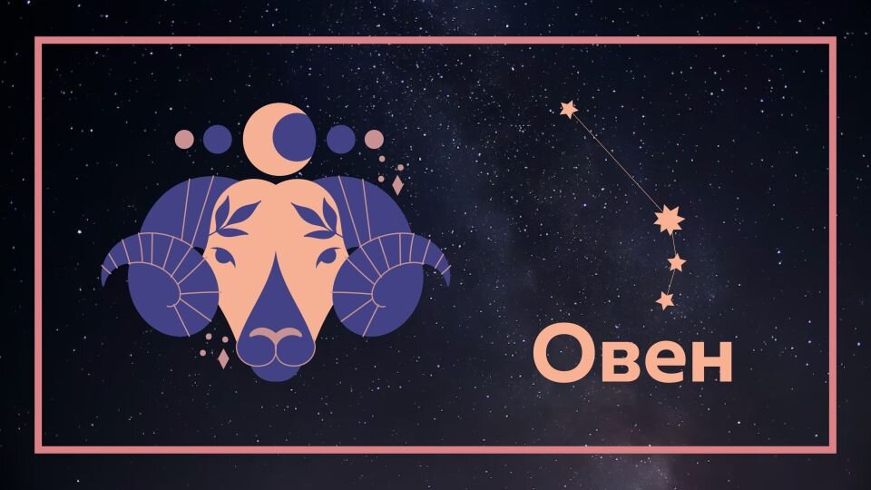 Фото: "Толк"