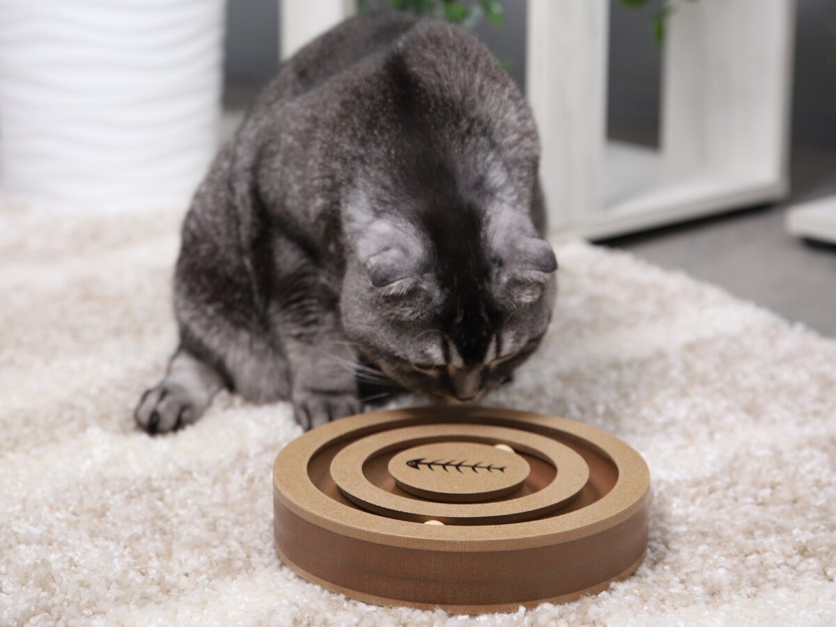 На фото — развивающая игрушка для кошек "2 в 1", серия SMART TOYS, Triol.