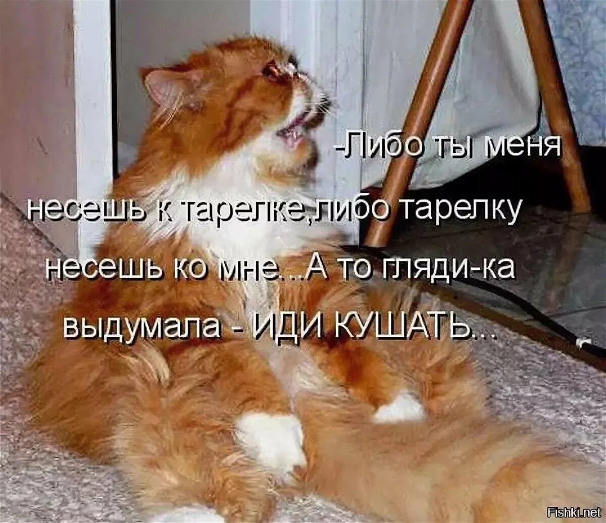 Что значит виноват