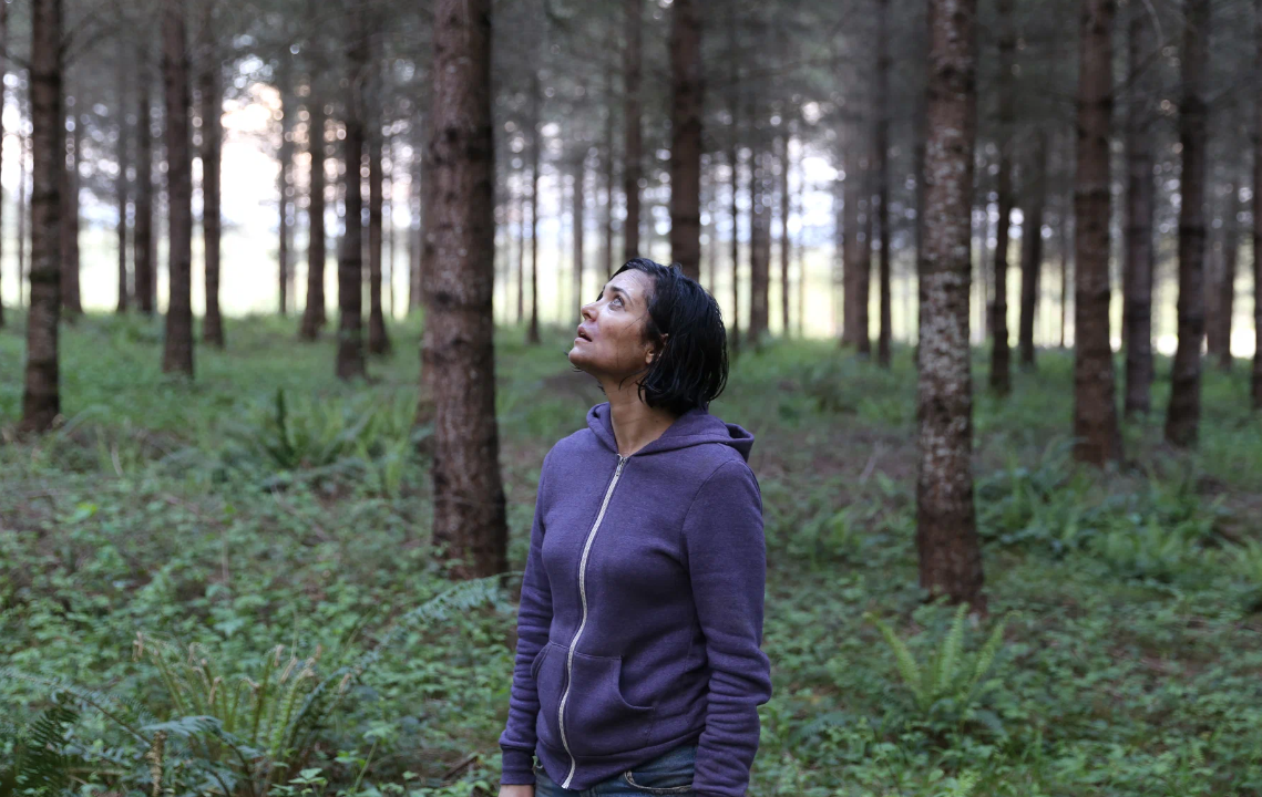 Кадр из фильма