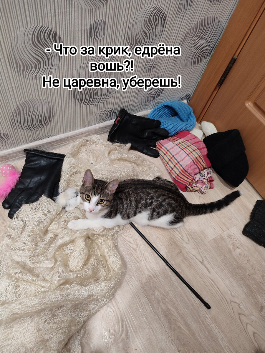 Масе 5 месяцев