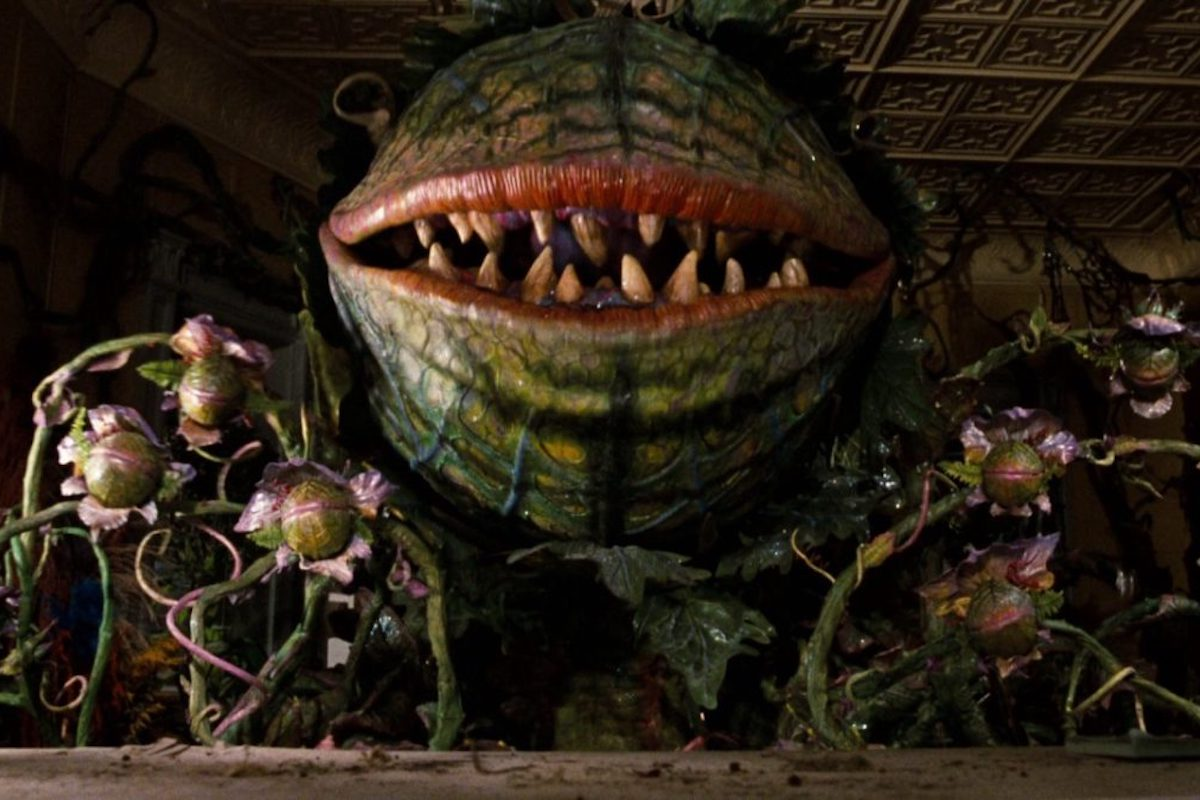 Монстр который ломает экран. Одри 2 магазинчик ужасов. Little shop of Horrors (1986) маленький магазинчик ужасов Лавка ужасов.