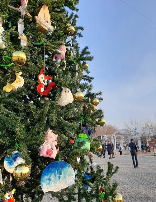 Все фото в этой статье сделаны лично автором в этот и прошедшие новогодние праздники