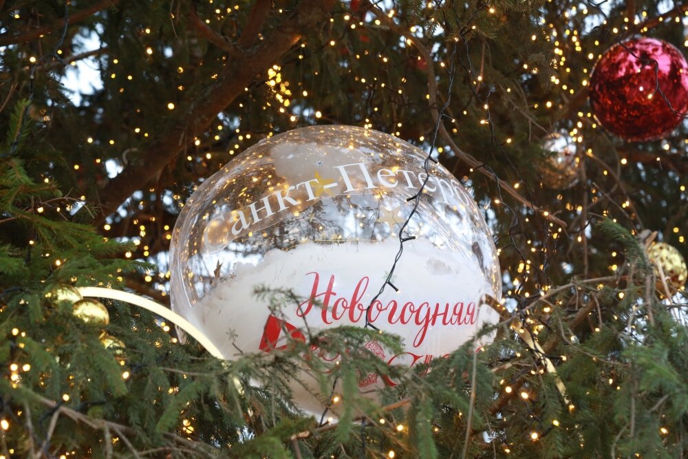    Фото: Администрация Санкт-Петербурга