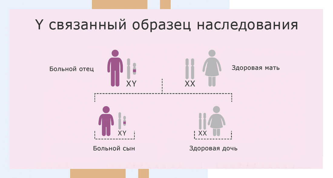 Схема Y-сцепленного наследования заболеваний