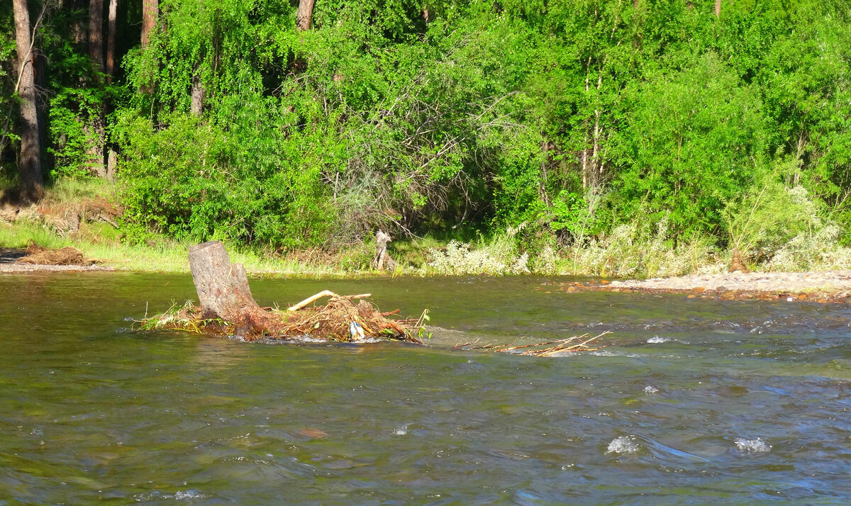 Вот таким был мост, когда начали готовиться к фестивалю. Вы его не видите? Правильно, он – под водой, от дерева вниз, к краю фото. 