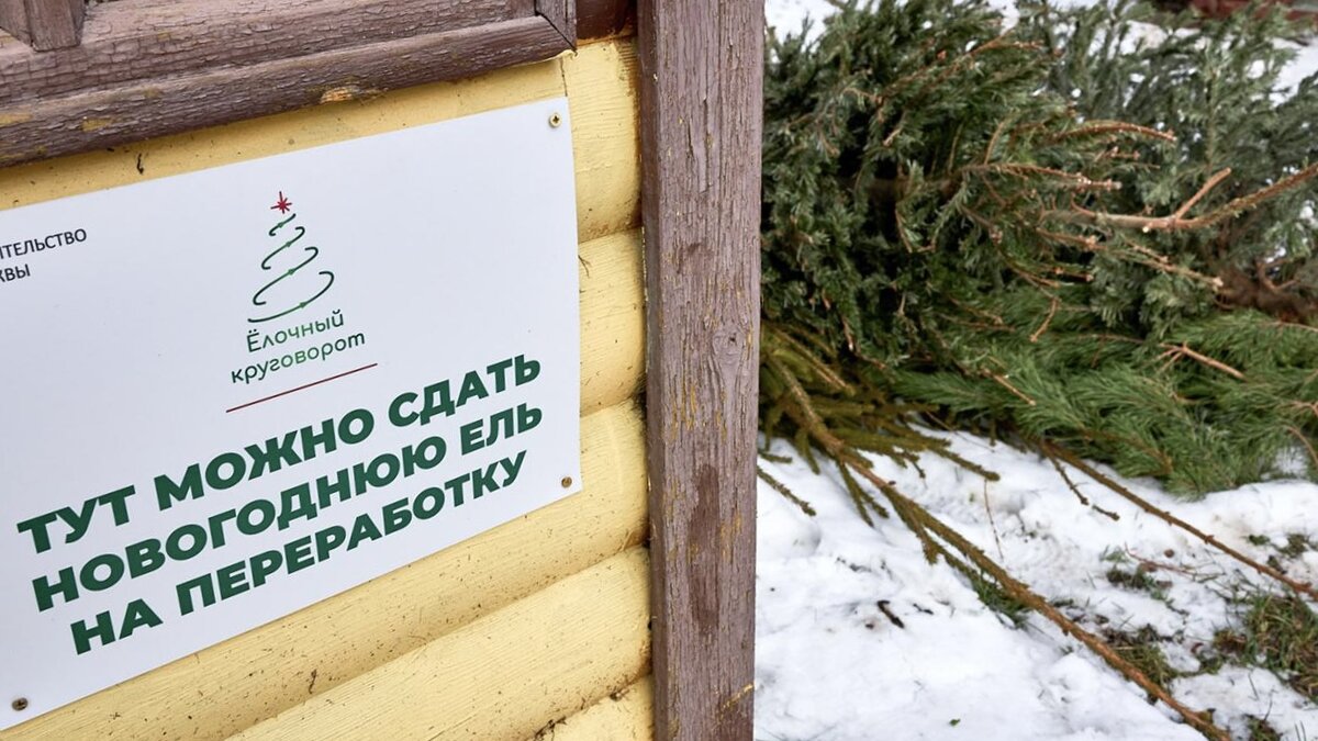 Пункты приема обычно обозначены баннерами акции.