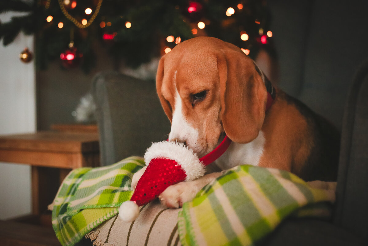 Фото автора канала