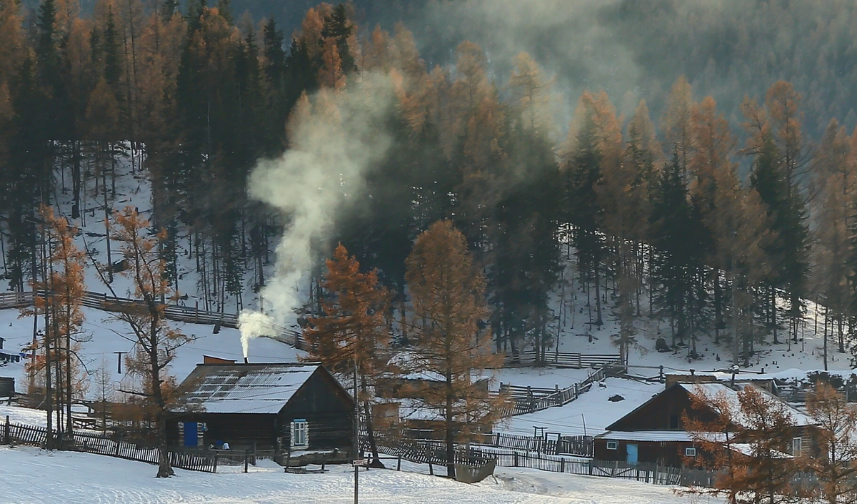 Кордон Язула