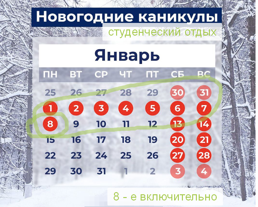 как отдыхают студенты в январе 2024 года?