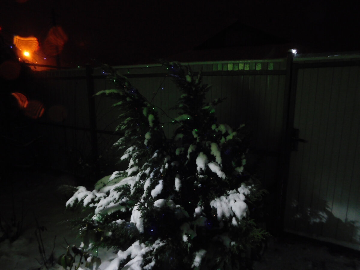 Фото автора канала