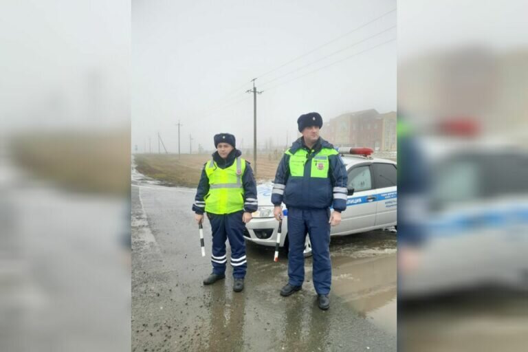    В Абдулинском округе полицейские помогли водителю, съехавшему в кювет Кристина Просвиркина