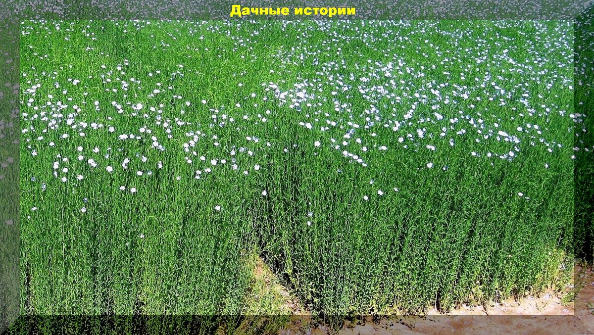 https://vk.com/photo-159774511_457263287