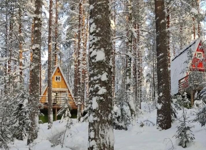 Треугольные домики в глэмпинге GREENVALD Парк Скандинавия
