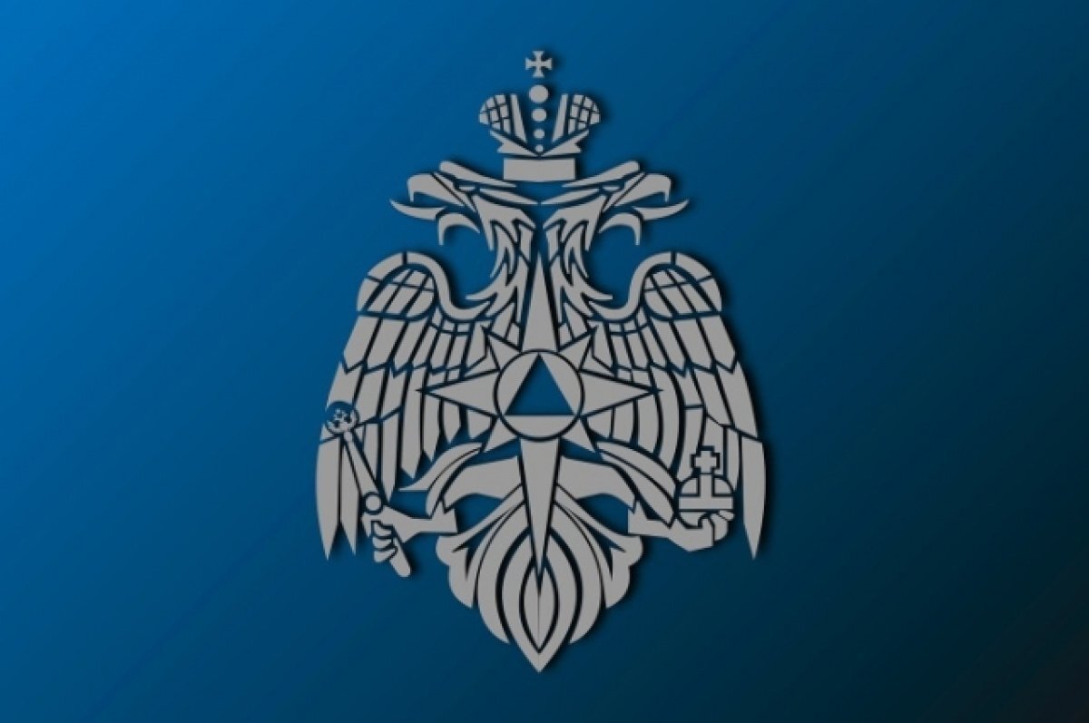    Силы и средства ульяновского ГУ МЧС перешли в режим повышенной готовности