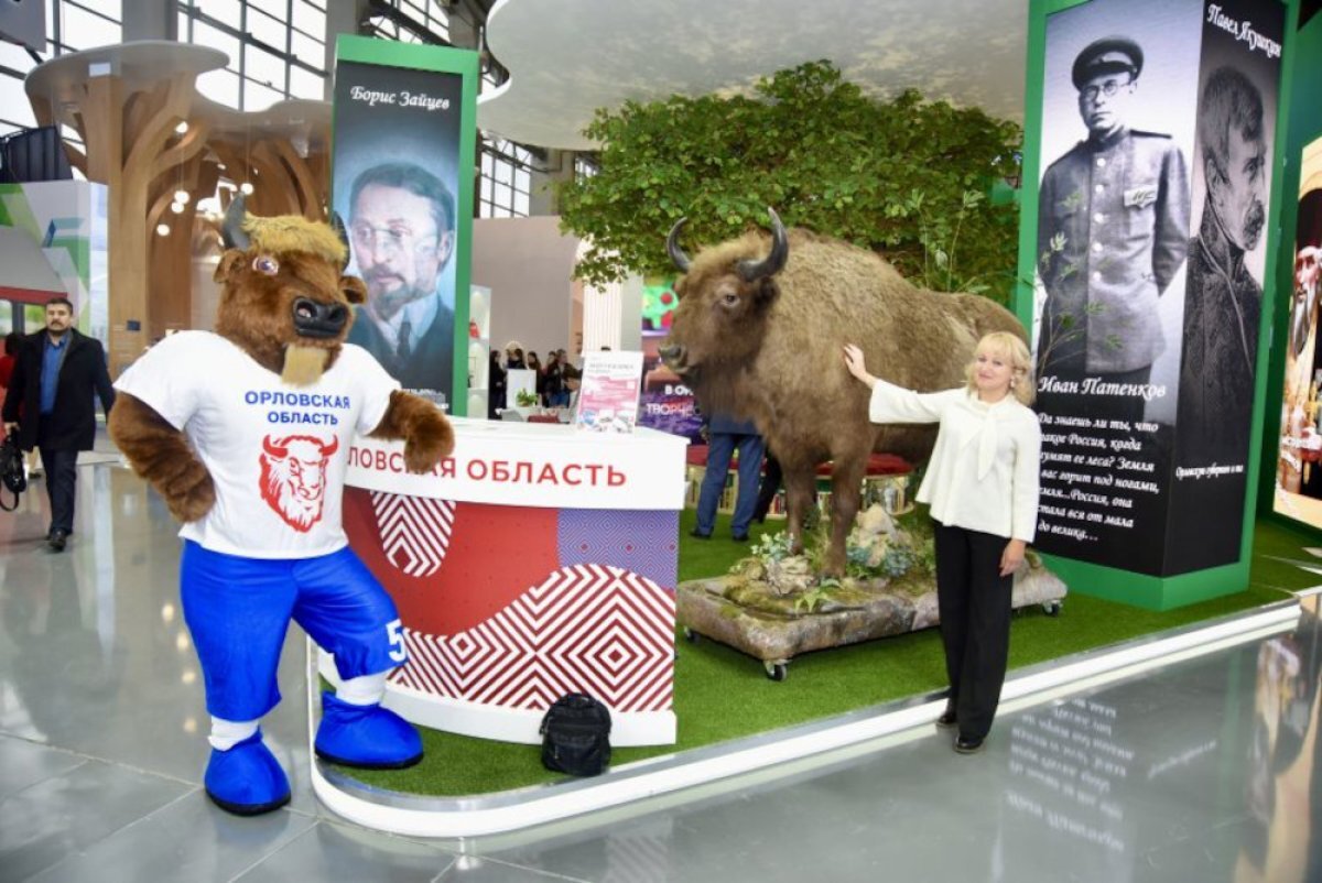    Допрыгали год.