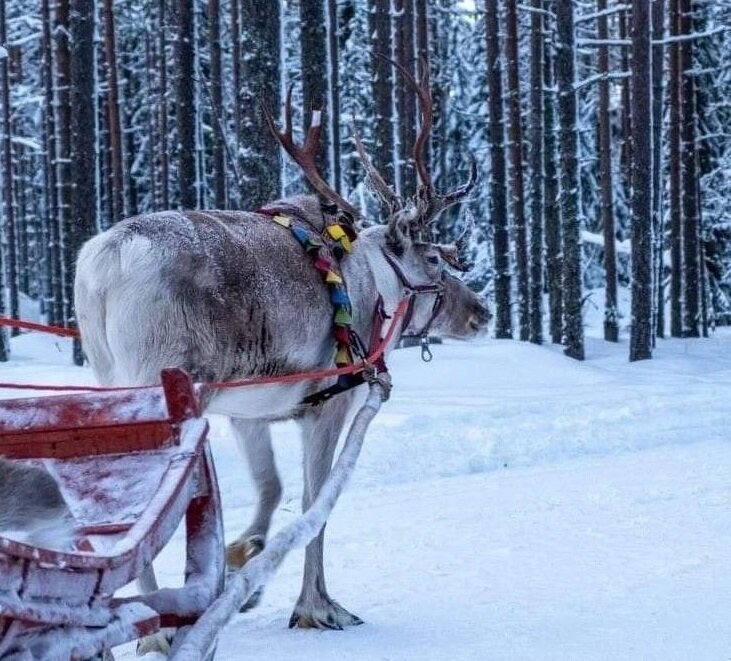 Фото из Pinterest