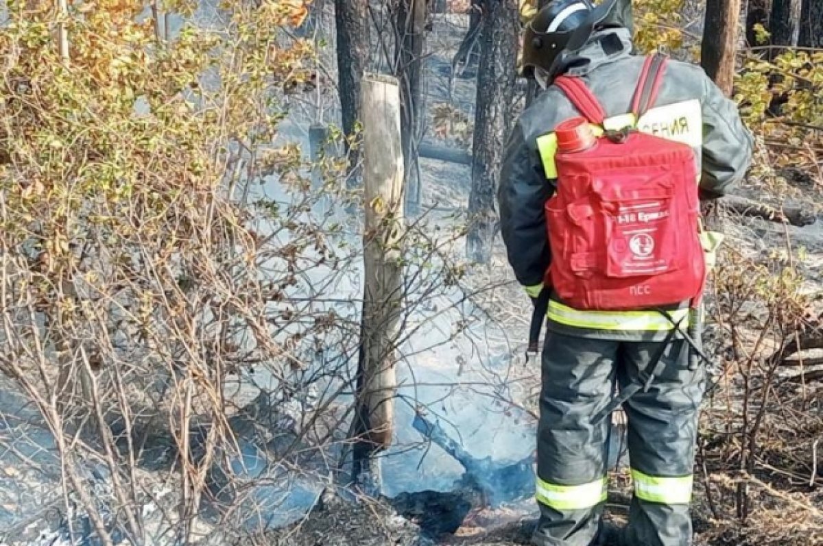    С начала 2023 года на пожарах в Ульяновске погибли 14 человек