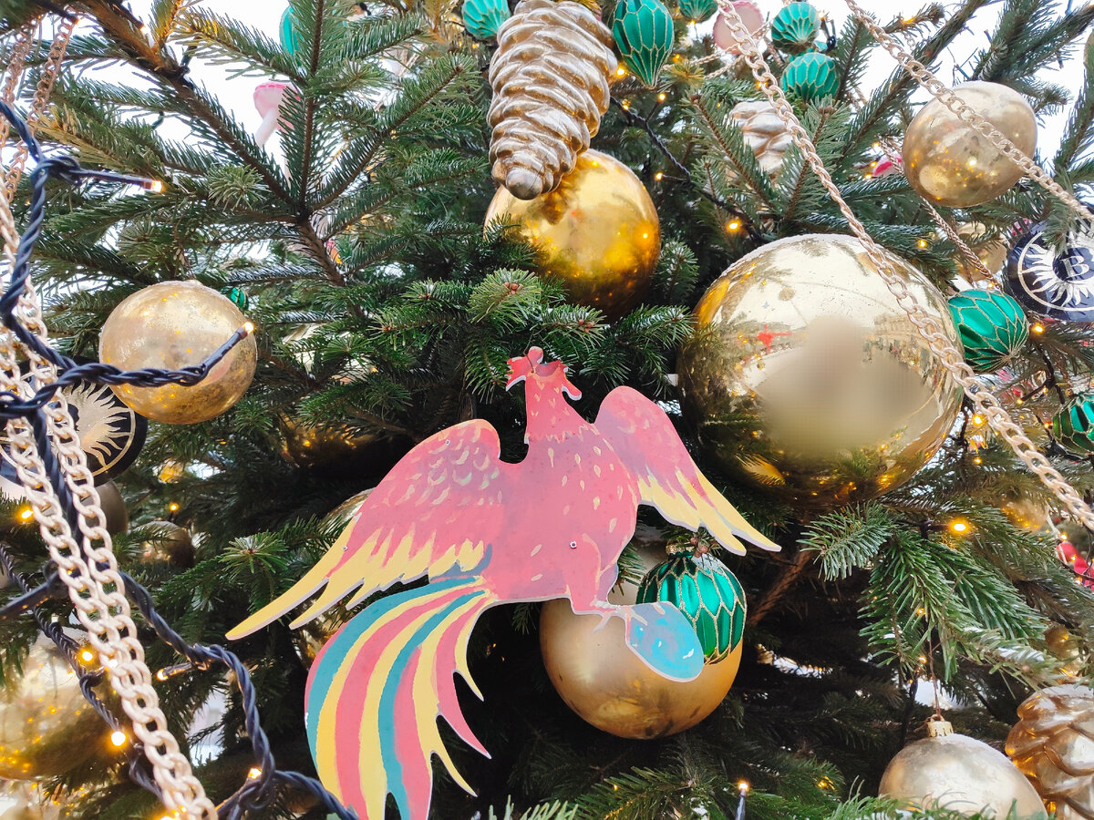 Все фото автора статьи. 