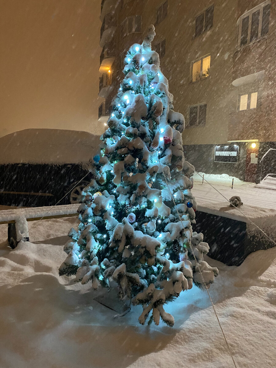 Фото сделано 30 декабря 2021 года