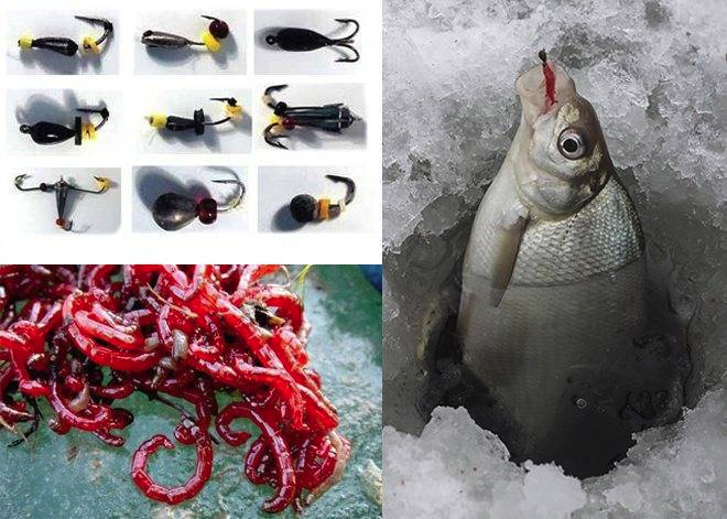 Фото с сайта: https://klev26.ru/wp-content/uploads