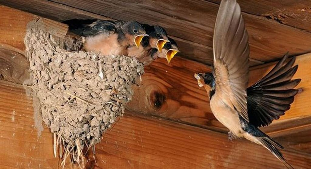 фото из интернета